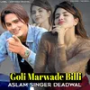 About Goli Marwade Billi Song